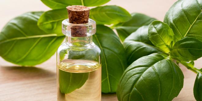 a bottle of basil oil surrounded by fresh herbs