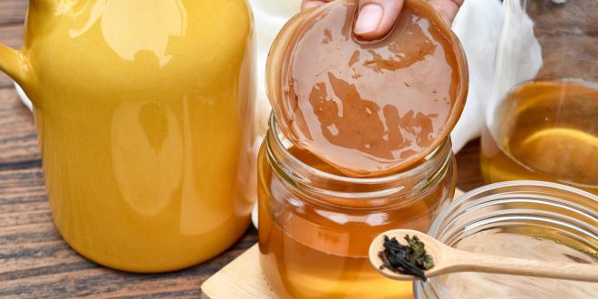 Hand holding tea kombucha SCOBY with kombucha tea.